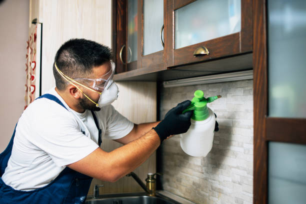 Best Wasp Removal Services  in Wakefield, NE