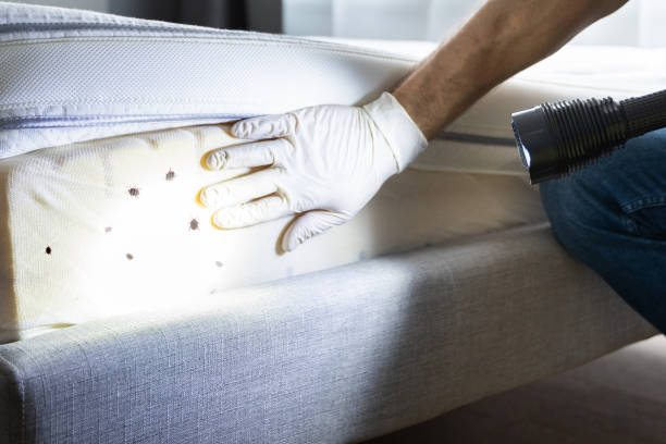 Best Exterminator Services  in Wakefield, NE