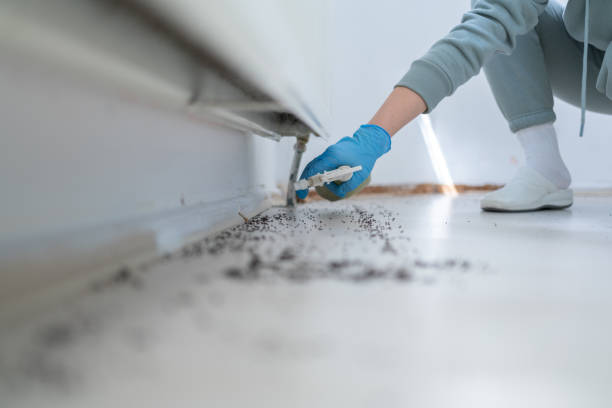 Best Pest Inspection Near Me  in Wakefield, NE